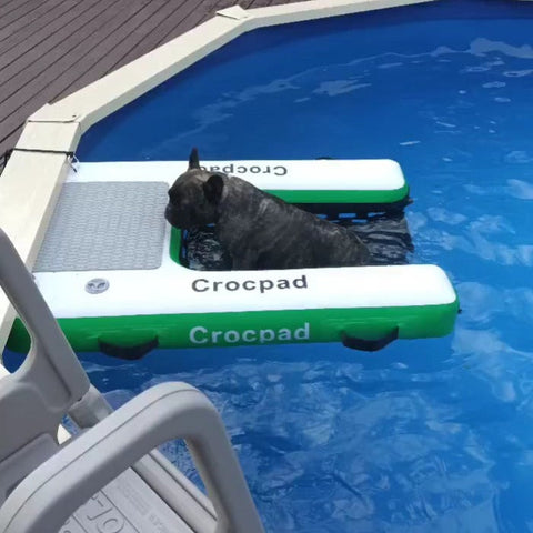 Best Dog Pool Ramps in Australia (2025 Guide)