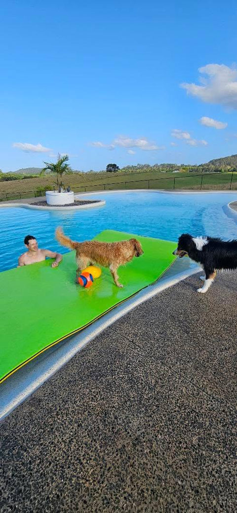 Ultimate Australian Summer Pool Party Ideas: Create Unforgettable Backyard Water Fun