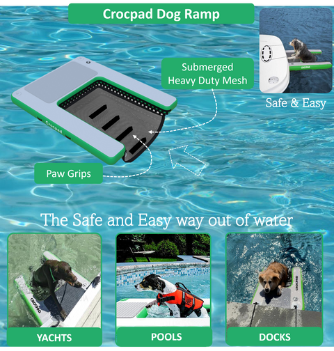 Best Dog Ramps for Pools in Australia 2025