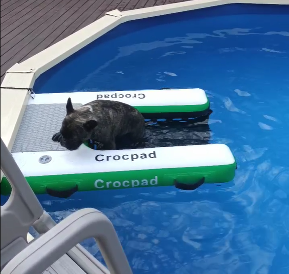 Crocpad Inflatable Dog Ramp