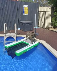 Inflatable ramps INFLATABLE PUP PLANKS for dogs up to 65kg.